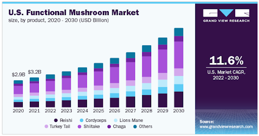 Functional Mushroom Market